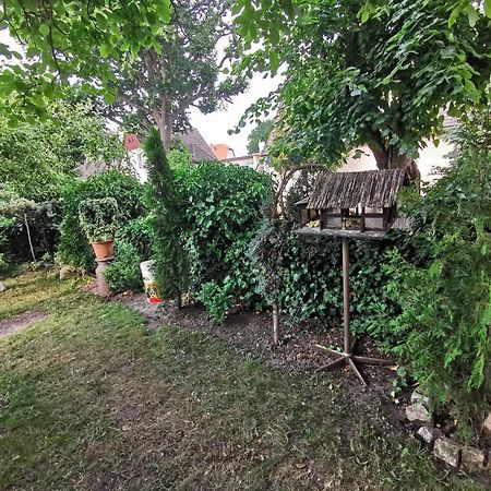 Kwatery U Zisi Misdroy Exterior foto